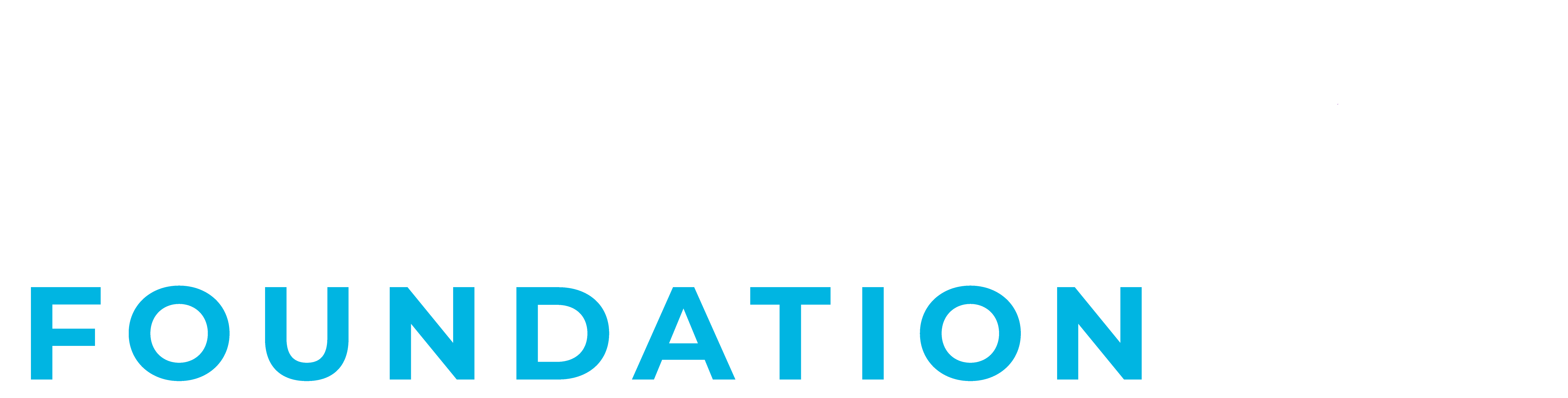 OnPath Foundation_horizontal_White and blue