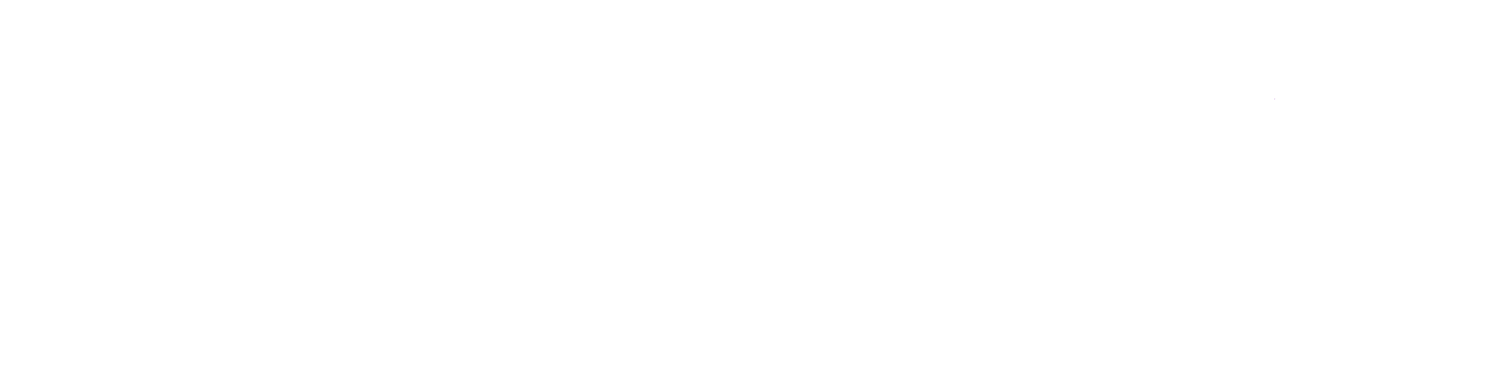 OnPath Foundation_horizontal_white
